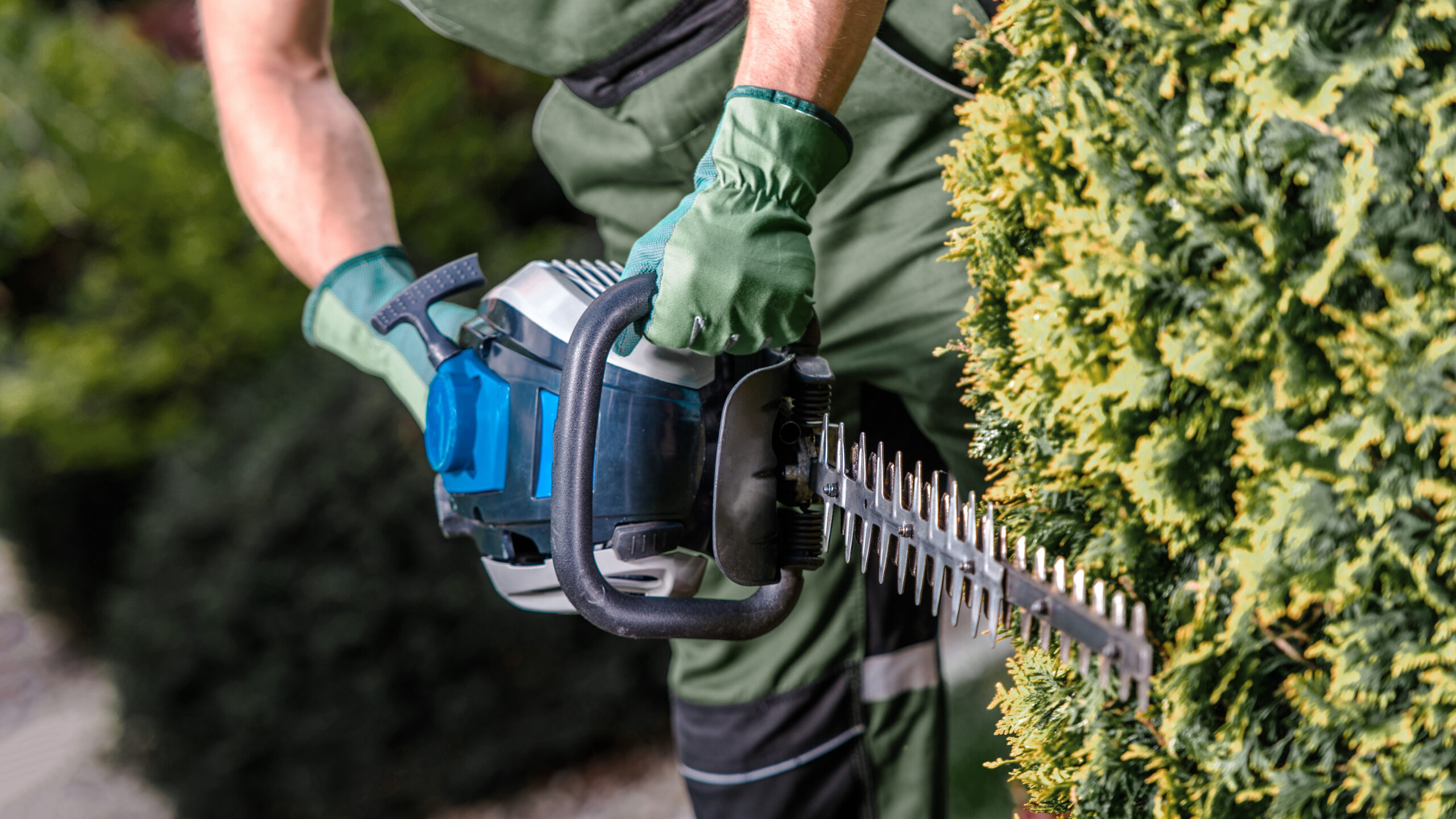 Ein Mitarbeiter von Hammer & Hecke schneidet eine Hecke mit einer elektrischen Heckenschere in einer gepflegten Gartenanlage.
